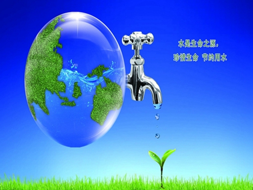 1556069441169175.jpg 4.24R.jpg